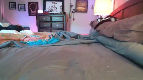 Snapshot of catnips_cabaret chatting on 4, 7, 2026 some call me djcatnips some call me CC but i love it when you call me miss catnips online show from 4, 7, 2026