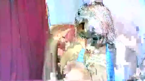 cattyclaws online show from 24, 11, 2025