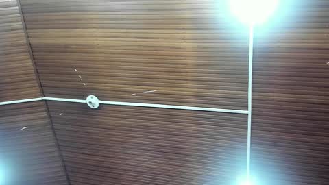 caylincollins online show from 2, 2, 2026