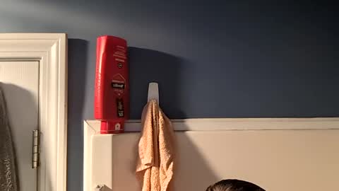 cbgbabc online show from 5, 10, 2025