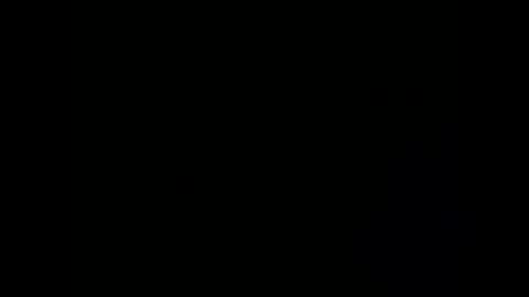 cece_vibez online show from 24, 11, 2025