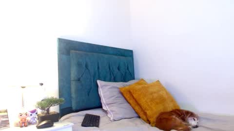 Cedrixx10 online show from 25, 2, 2026