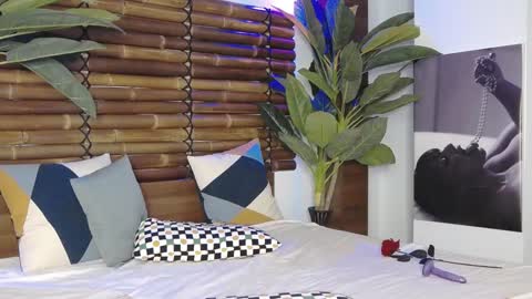 CelesteBailey online show from 26, 1, 2025