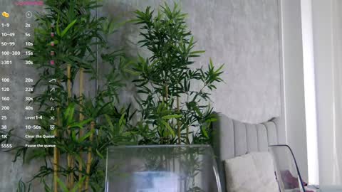 CelineMeyer online show from 31, 1, 2025