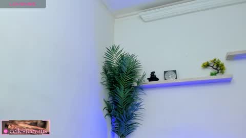 Celeste  online show from 11, 2, 2025