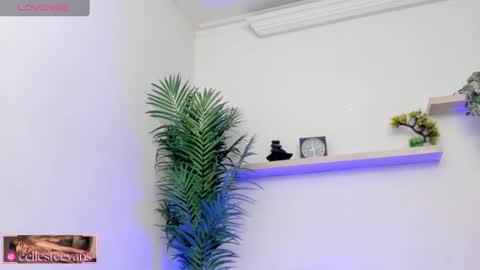 Celeste  online show from 12, 3, 2025