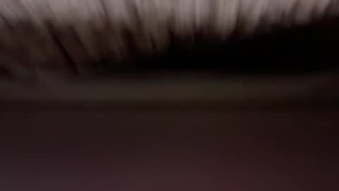 cenobitfor online show from 5, 3, 2026