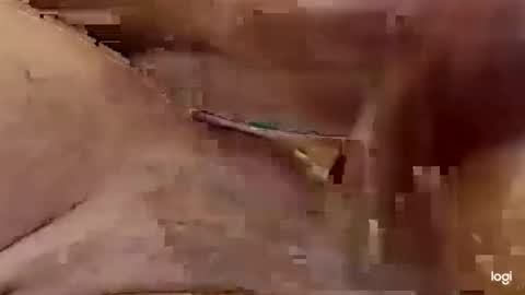 Snapshot of cfnmkinky28 chatting on 1, 1, 2025 cfnmkinky28 online show from 1, 1, 2025