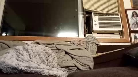 Chad420247 online show from 4, 2, 2026