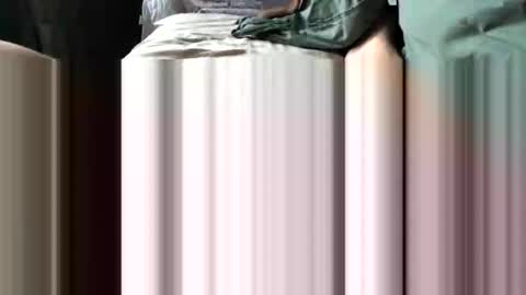 challe online show from 3, 12, 2025