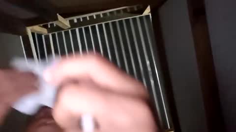 chancherman online show from 2, 12, 2025