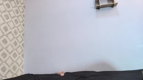 Raquel  online show from 10, 3, 2025