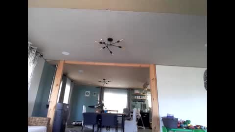 I am Charlie online show from 16, 9, 2025