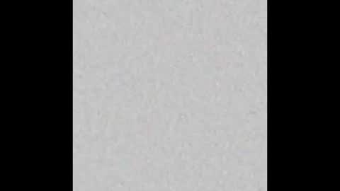 Charlotte online show from 20, 11, 2025