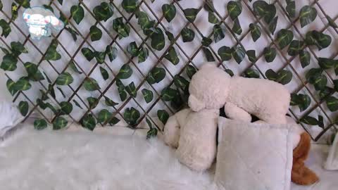 charly_evans60 online show from 27, 2, 2025