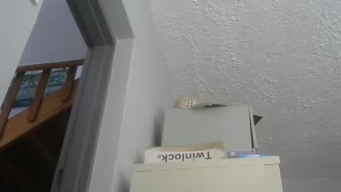 Snapshot of chaturbatordeluxe chatting on 21, 12, 2025 chaturbatordeluxe online show from 21, 12, 2025