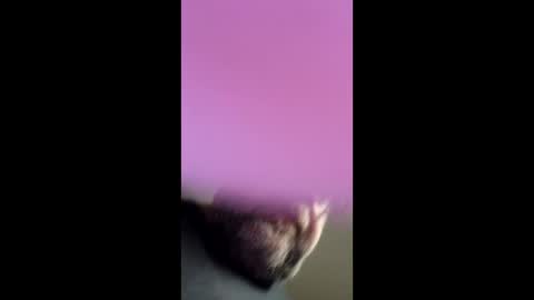 chef4u13 online show from 25, 4, 2026