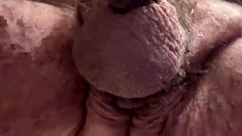 Chef online show from 28, 11, 2025