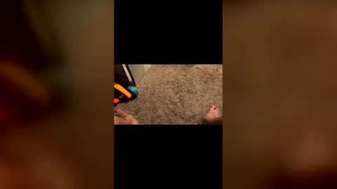 chemmi2023 online show from 5, 3, 2026