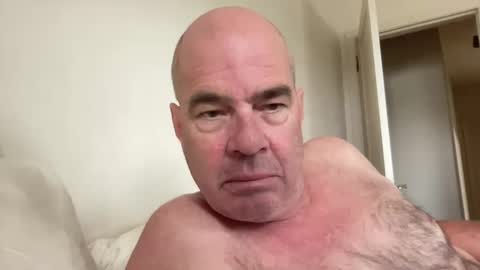 chillpuppy online show from 6, 10, 2025