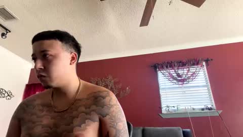 CHINO online show from 8, 2, 2026