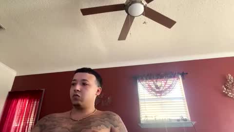 CHINO online show from 14, 2, 2026