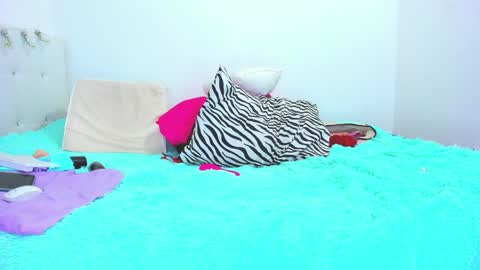   online show from 13, 12, 2024