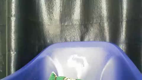 chocoslut22 online show from 14, 12, 2025