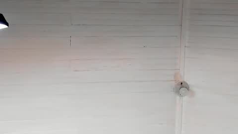 Snapshot of chris_macgregoor chatting on 5, 12, 2024 Chriz online show from 5, 12, 2024