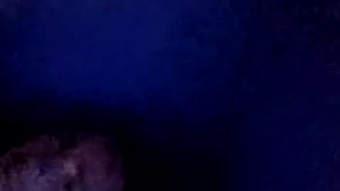 christmasfawks online show from 26, 11, 2025