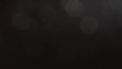 christofer827818 online show from 14, 4, 2026