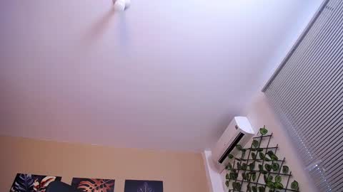 Christopher Black online show from 17, 12, 2025