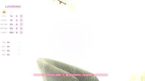 Snapshot of chromebabe_ chatting on 12, 1, 2025 Gwendy Fox online show from 12, 1, 2025