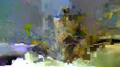 chuck354139 online show from 13, 2, 2025