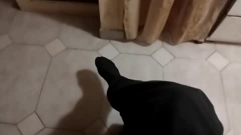 ciccilli online show from 17, 10, 2025