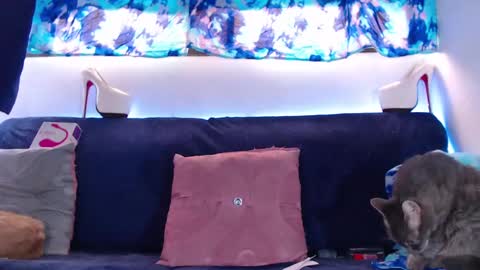 Snapshot of cicimom chatting on 5, 2, 2025 cicimom online show from 5, 2, 2025