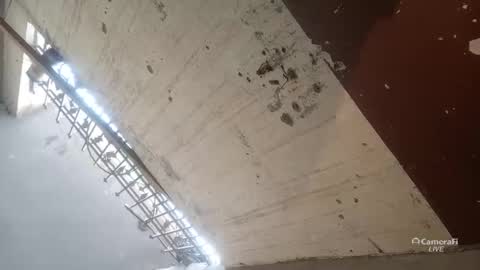 Circumsised Bull online show from 13, 1, 2026