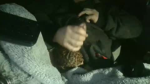 cisalo2501 online show from 7, 2, 2026