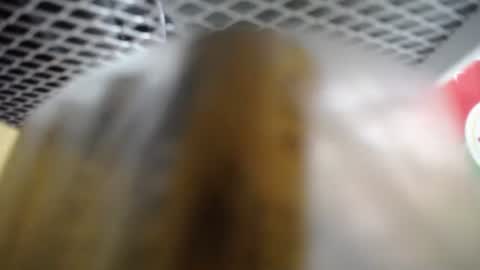 487699 online show from 27, 11, 2025