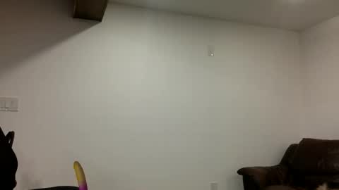 Clarke Cock online show from 21, 3, 2026