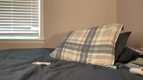 Clyde Austin online show from 15, 4, 2026