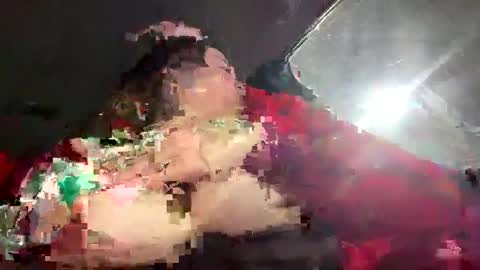 coconutbasil online show from 5, 2, 2025