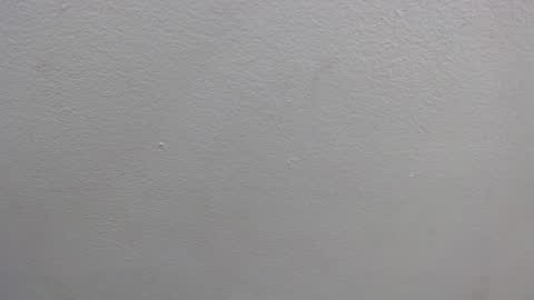  GRETCHEN  online show from 16, 1, 2025