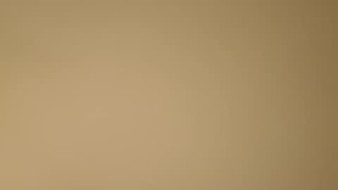 Snapshot of color233 chatting on 8, 11, 2025 color233 online show from 8, 11, 2025