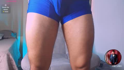 colt_perci online show from 25, 2, 2026