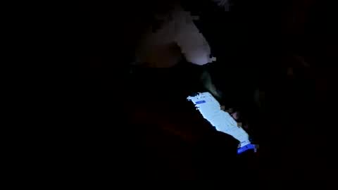 francheska online show from 19, 1, 2026