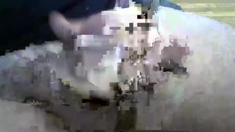 coneyguy online show from 26, 9, 2025