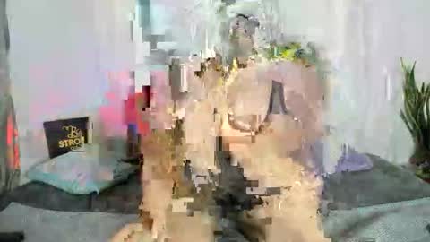 conyabril online show from 17, 12, 2025