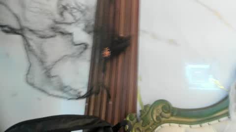 Coralie Bronson online show from 28, 10, 2025