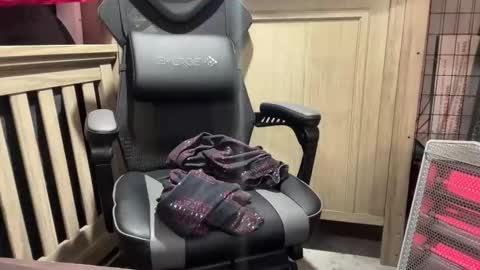 cortexdex online show from 20, 9, 2025